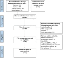 Graphical abstract: The effect of n-3 polyunsaturated fatty acid supplementation on cognitive function outcomes in the elderly depends on the baseline omega-3 index