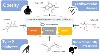 Graphical abstract: Polyphenols as NLRP3 inflammasome modulators in cardiometabolic diseases: a review of in vivo studies