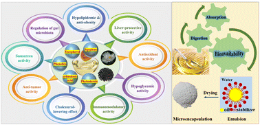 Graphical abstract: Nutritional composition, health-promoting effects, bioavailability, and encapsulation of tree peony seed oil: a review
