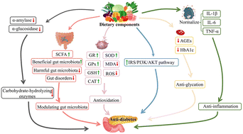Graphical abstract: Effects and mechanisms of anti-diabetic dietary natural products: an updated review