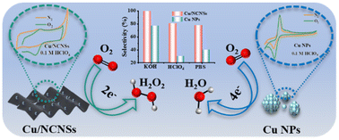 Graphical abstract: Single-iron, cobalt, nickel, and copper-atom catalysts for the selective reduction of oxygen to H2O2