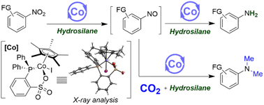 Graphical abstract: Co(dppbsa)-catalyzed reductive N,N-dimethylation of nitroaromatics with CO2 and hydrosilane