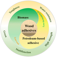 Graphical abstract: Recent progress of biomass in conventional wood adhesives: a review