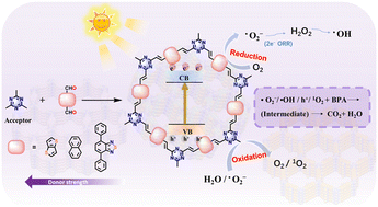 Graphical abstract: Donor–acceptor sp2 covalent organic frameworks for photocatalytic H2O2 production and tandem bisphenol-A degradation