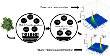 Graphical abstract: Boron elemental and isotopic determination via the BF diatomic molecule using high-resolution continuum source graphite furnace molecular absorption spectrometry