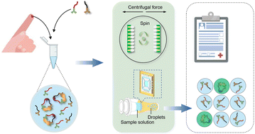 Graphical abstract: Highly parallel, wash-free, and ultrasensitive centrifugal droplet digital protein detection in sub-microliter blood