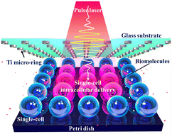Graphical abstract: Ultrathin SU-8 membrane for highly efficient tunable cell patterning and massively parallel large biomolecular delivery