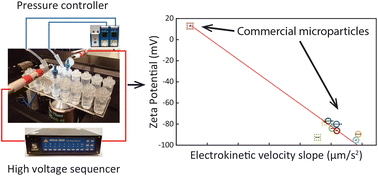 Graphical abstract: Zeta potential characterization using commercial microfluidic chips