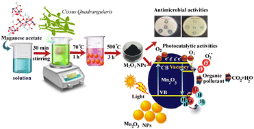 Graphical abstract: Green synthesis of orthorhombic Mn2O3 nanoparticles; influence of the oxygen vacancies on antimicrobial activity and cationic dye degradation