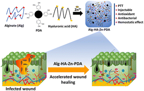 Graphical abstract: Antioxidant, hemostatic, and injectable hydrogels with photothermal antibacterial activity to accelerate full-thickness wound regeneration