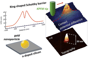 Graphical abstract: KPFM visualisation of the Schottky barrier at the interface between gold nanoparticles and silicon
