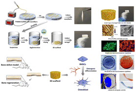 Graphical abstract: Novel PVAMA/GelMA aerogels prepared by liquid-phase collection of photoinitiated polymerisation: injectable and flowable low-density 3D scaffolds for bone regeneration