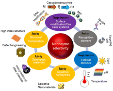 Graphical abstract: A comprehensive exploration of the latest innovations for advancements in enhancing selectivity of nanozymes for theranostic nanoplatforms