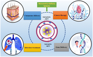 Graphical abstract: Composition, preparation methods, and applications of nanoniosomes as codelivery systems: a review of emerging therapies with emphasis on cancer