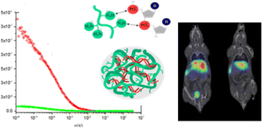 Graphical abstract: A study of complexation and biological fate of polyethyleneimine-siRNA polyplexes in vitro and in vivo by fluorescence correlation spectroscopy and positron emission tomography imaging