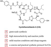 Graphical abstract: Formal synthesis of cyclotheonellazole A