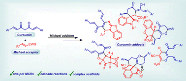 Graphical abstract: The Michael donor–acceptor reactivity of curcumins in the synthesis of diverse multi-functional scaffolds