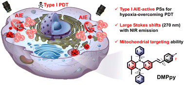 Graphical abstract: An AIE-active type I photosensitizer based on N,N′-diphenyl-dihydrophenazine for high-performance photodynamic therapy under hypoxia