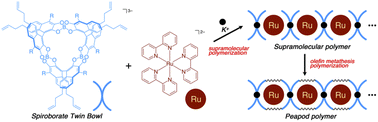 Graphical abstract: Preparation of spiroborate supramolecular and peapod polymers containing a photoluminescent ruthenium(ii) complex