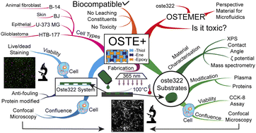 Graphical abstract: Performance and biocompatibility of OSTEMER 322 in cell-based microfluidic applications