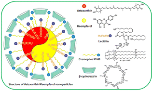 Graphical abstract: Co-encapsulated astaxanthin and kaempferol nanoparticles: fabrication, characterization, and their potential synergistic effects on treating non-alcoholic fatty liver disease
