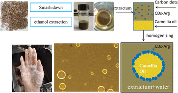 Graphical abstract: Properties of Ophioglossum vulgatum L. extract Pickering emulsion stabilized by carbon dots and its potential use in cosmetics