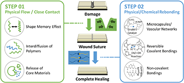 Graphical abstract: Self-healing polymers for surface scratch regeneration