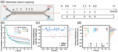 Graphical abstract: Solute-particle separation in microfluidics enhanced by symmetrical convection