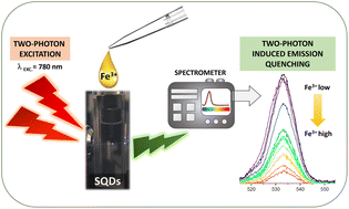 Graphical abstract: Two-photon excited luminescence of sulfur quantum dots for heavy metal ion detection