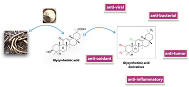 Graphical abstract: A review of typical biological activities of glycyrrhetinic acid and its derivatives