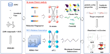 Graphical abstract: Synergistic acceleration of machine learning and molecular docking for prostate-specific antigen ligand design