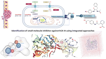 Graphical abstract: Ligand based pharmacophore modelling and integrated computational approaches in the quest for small molecule inhibitors against hCA IX