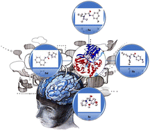 Graphical abstract: Crystal structure, quantum chemical insights, and molecular docking studies of Naryl-2-(N-disubstituted) acetamide compounds: potential inhibitors for neurodegenerative enzymes