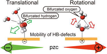 Graphical abstract: Probing collective terahertz vibrations of a hydrogen-bonded water network at buried electrochemical interfaces