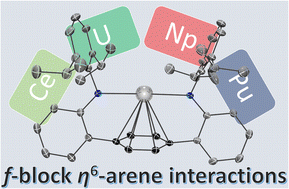 Graphical abstract: Synthesis and comparison of iso-structural f-block metal complexes (Ce, U, Np, Pu) featuring η6-arene interactions