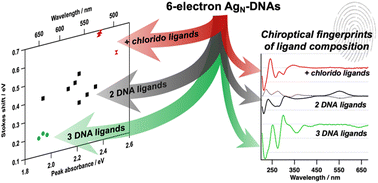 Graphical abstract: Electron count and ligand composition influence the optical and chiroptical signatures of far-red and NIR-emissive DNA-stabilized silver nanoclusters