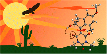 Graphical abstract: A visible-light-driven molecular motor based on barbituric acid