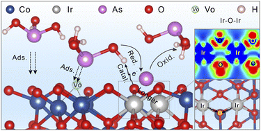 Graphical abstract: Modulating paired Ir–O–Ir via electronic perturbations of correlated Ir single atoms to overcome catalytic selectivity