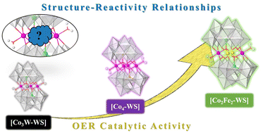 Graphical abstract: Accelerating water oxidation – a mixed Co/Fe polyoxometalate with improved turnover characteristics