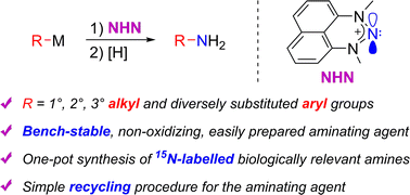 Graphical abstract: Nitrenium ions as new versatile reagents for electrophilic amination