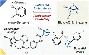 Graphical abstract: 1,2-Disubstituted bicyclo[2.1.1]hexanes as saturated bioisosteres of ortho-substituted benzene