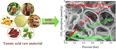 Graphical abstract: Sustainable porous carbons from tannic acid based KOH activated as high-performance CO2 capture sorbents
