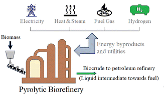 Graphical abstract: Assessment of location and energy utility options for the implementation of pyrolytic biocrude production