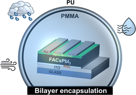 Graphical abstract: Facile and scalable bilayer polymer encapsulation to achieve long-term stability of perovskite solar cells under harsh humidity conditions