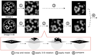 Graphical abstract: 3-D rotation tracking from 2-D images of spherical colloids with textured surfaces