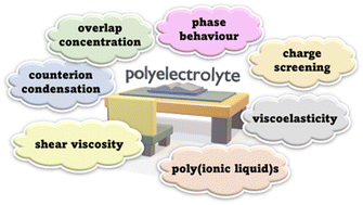 Graphical abstract: Dilute polyelectrolyte solutions: recent progress and open questions