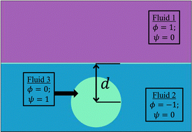 Graphical abstract: Dynamics of spreading of an asymmetrically placed droplet near a fluid–fluid interface