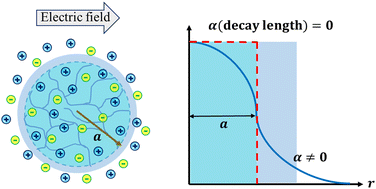 Graphical abstract: Electrohydrodynamics of diffuse porous colloids