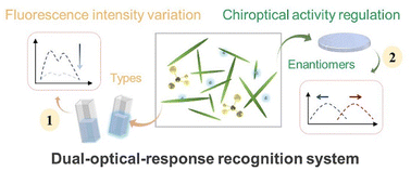 Graphical abstract: Recognizing chiral amino acids with a dual-optical-response system