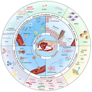 Graphical abstract: Immunomodulatory hydrogels for skin wound healing: cellular targets and design strategy